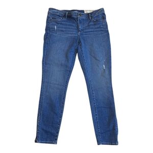 Ann Taylor Loft Jeans
